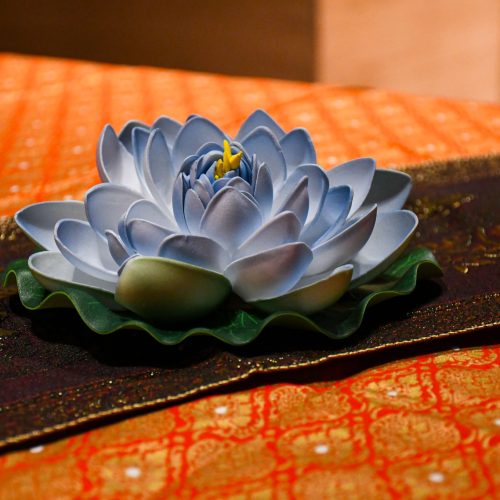 WhatsApp Image 2023-08-17 at 6.47.17 PM (3)